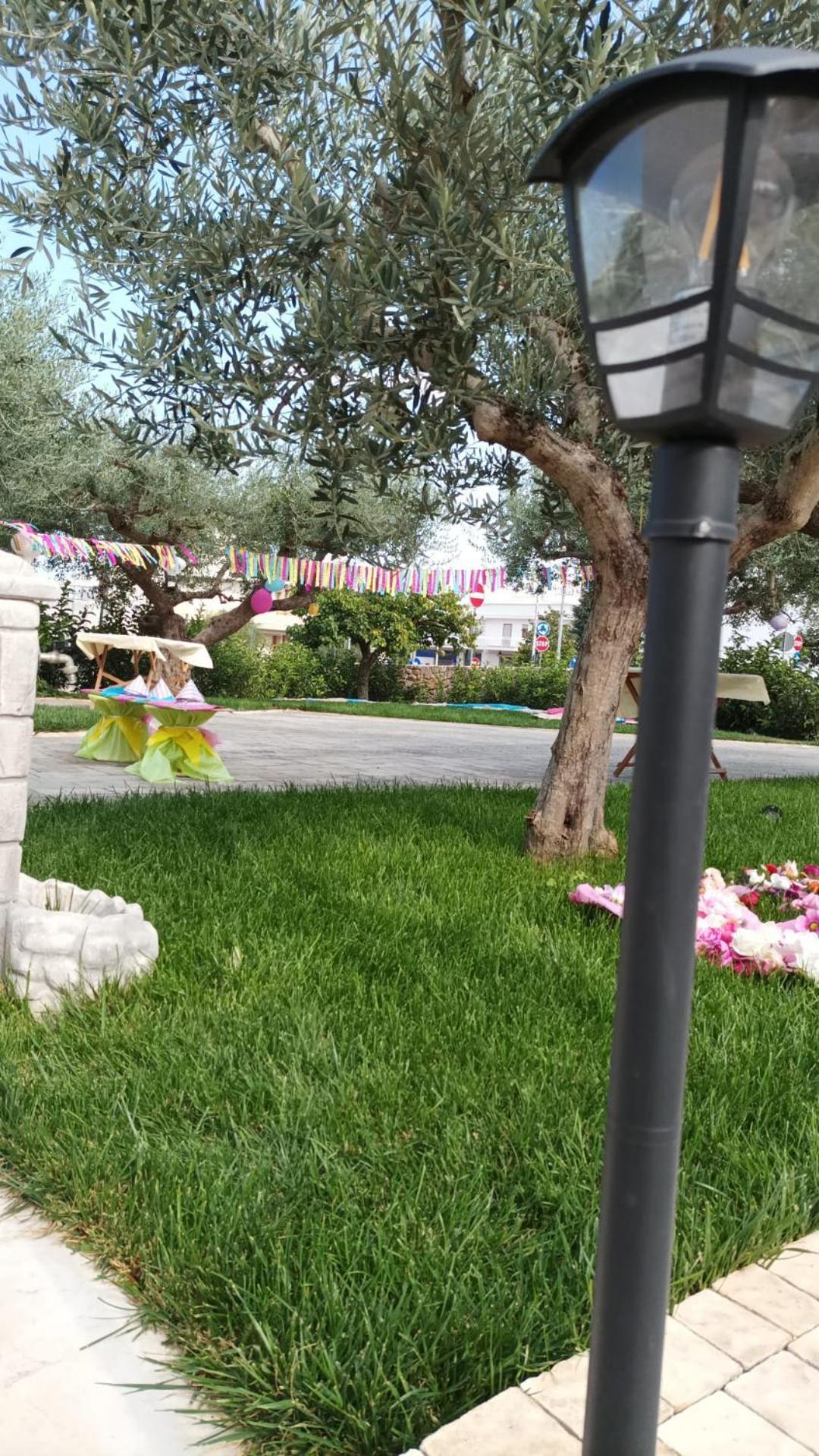 Apartamento I Cinque Ulivi Alberobello Exterior foto